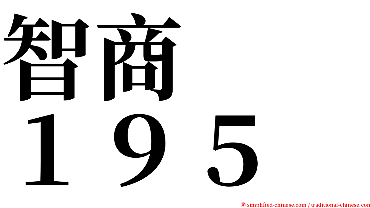 智商　　１９５ serif font